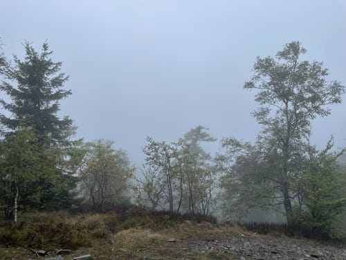 Altkönig ab Schwalbach am Taunus