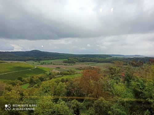 Steigerwald Panoramaweg Etappe 2: Herbolzheim - Bullenheim