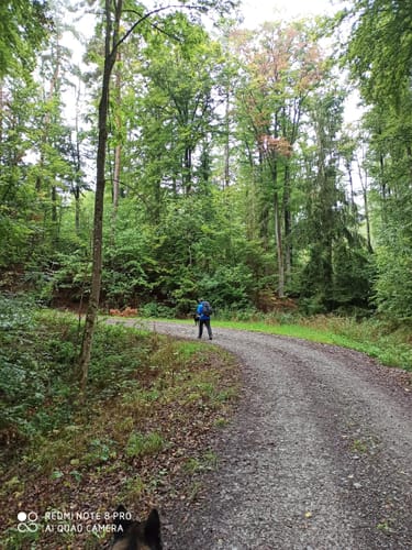 Steigerwald Panoramaweg Etappe 2: Herbolzheim - Bullenheim