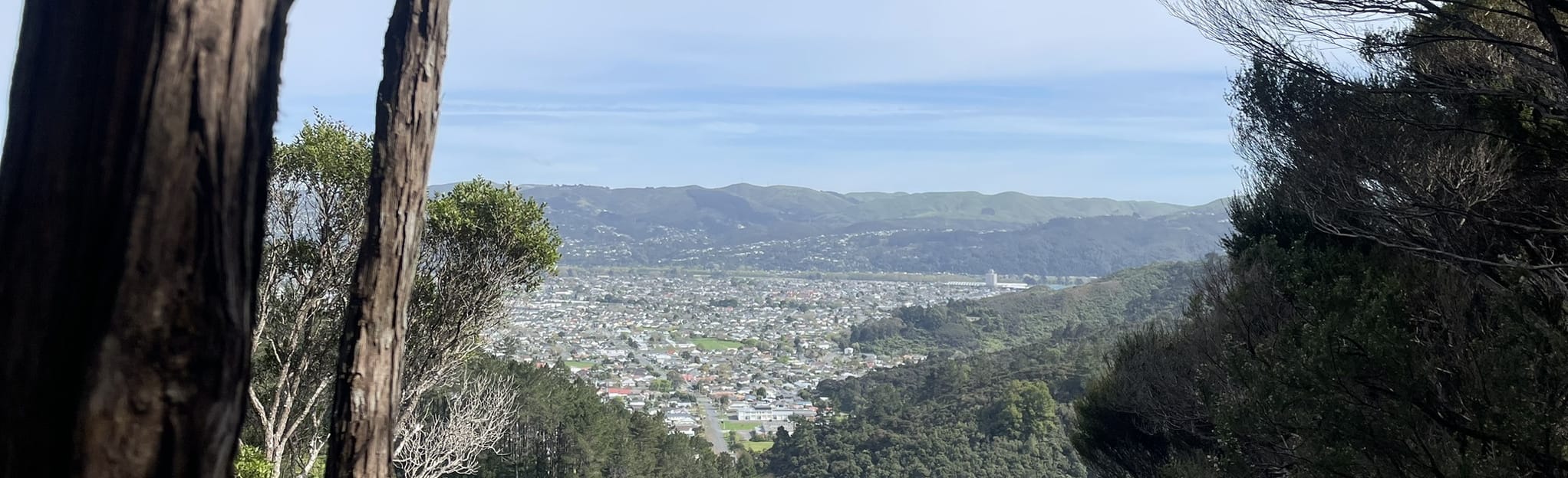 Rata Street Loop - Wellington, New Zealand | AllTrails