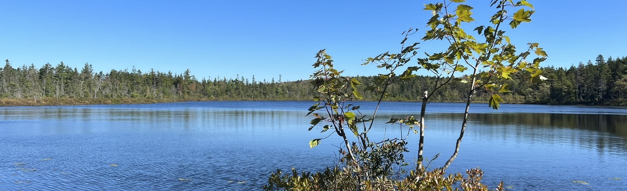 Sandy Lake Park Large Loop, Nova Scotia, Canada 29 Reviews, Map