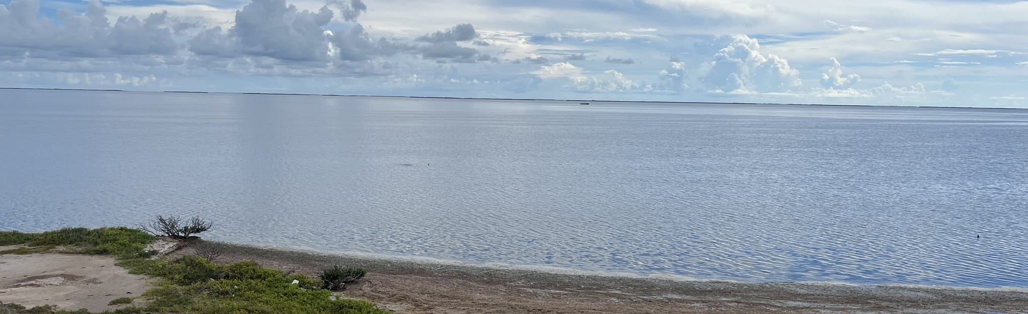 Laguna Atascosa National Wildlife Refuge Trail, Texas 47 Reviews, Map