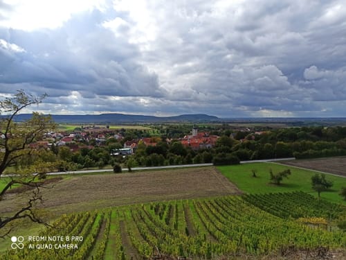 Steigerwald Panoramaweg Etappe 3: Bullenheim - Iphofen