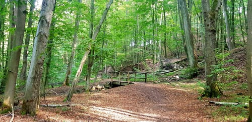 Eichhörnchengrund