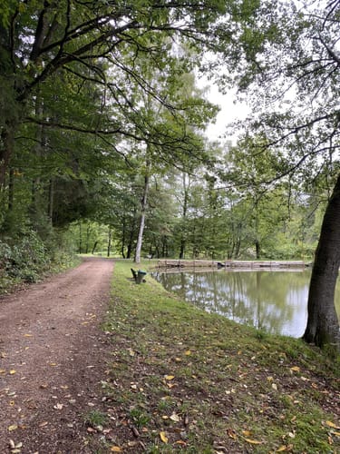 Im Engscheider Wald