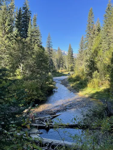 10 Best Trails and Hikes in Fernie | AllTrails