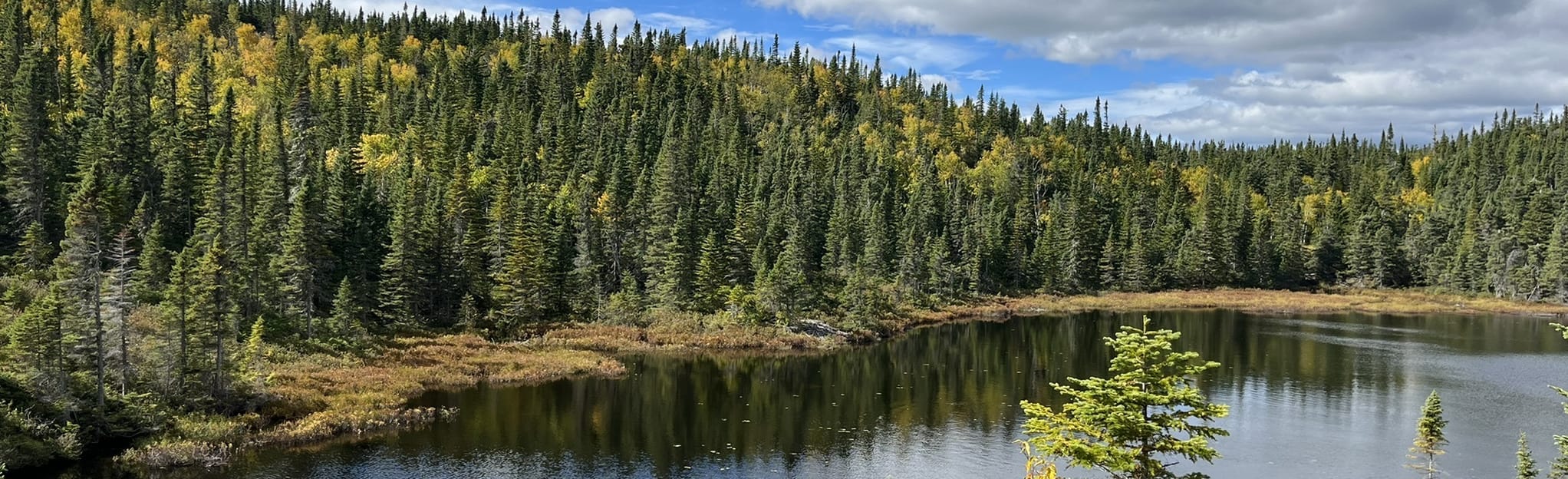 AllTrails Mont du Lacàl'Empêche and Mount du Four 573 Reviews, Map