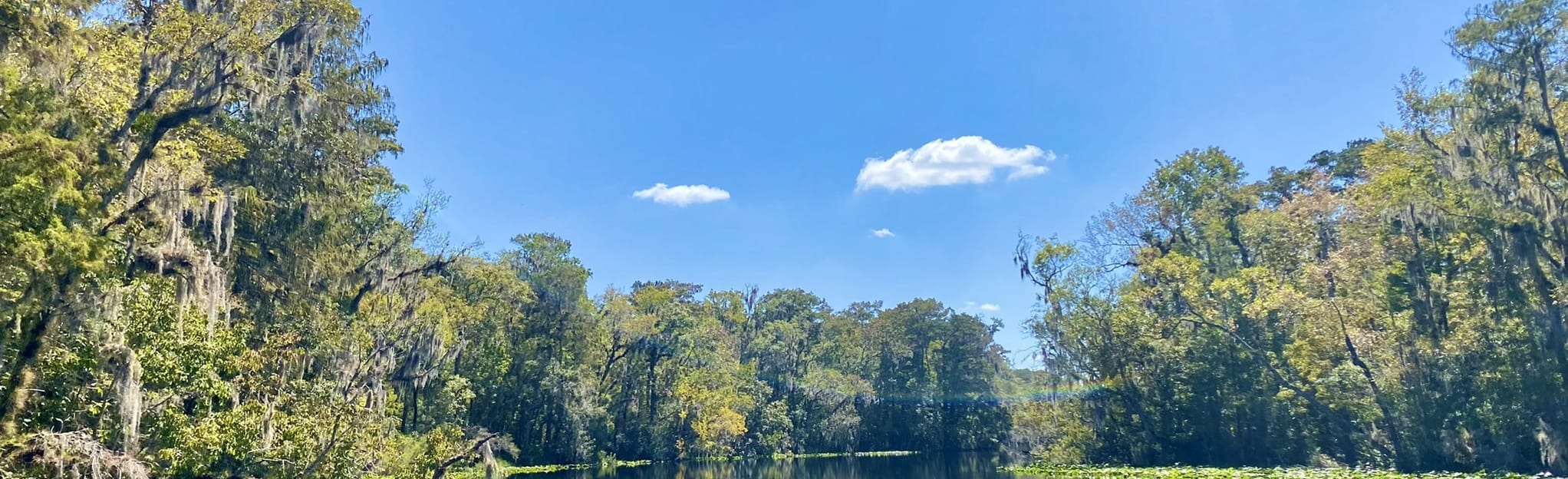 Trout Creek Paddle Route 19 Reviews, Map Florida AllTrails