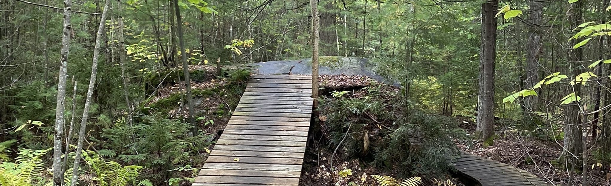 Bethel Village MTB Loop 33 Reviews, Map Maine AllTrails