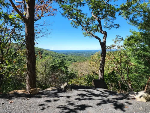 Black rock outlet forest trail