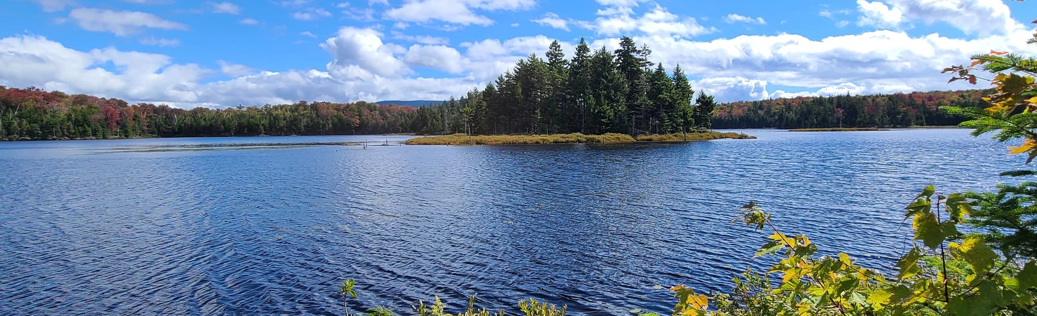 Bourne Pond and Stratton Pond via Long Trail (Appalachian Trail) 94
