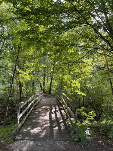 are dogs allowed at springbrook nature center