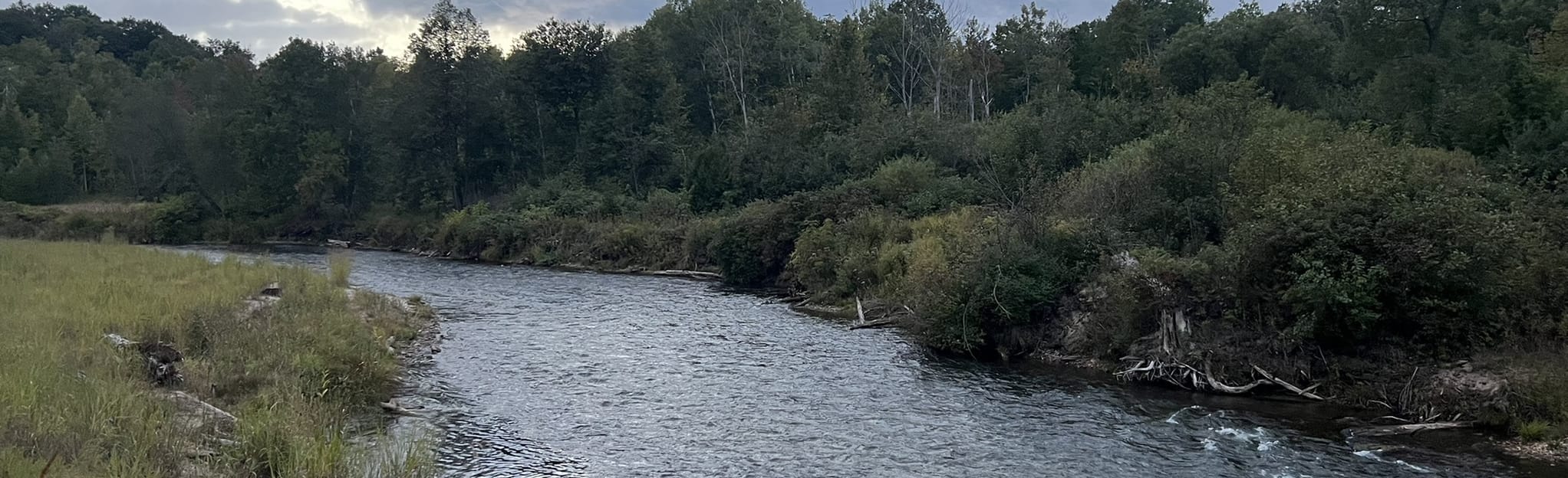 Boardman River Nature Center Trail, Michigan 117 Reviews, Map AllTrails