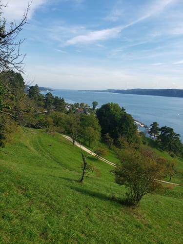 Blütenweg Sipplingen