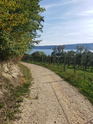 Blütenweg Sipplingen