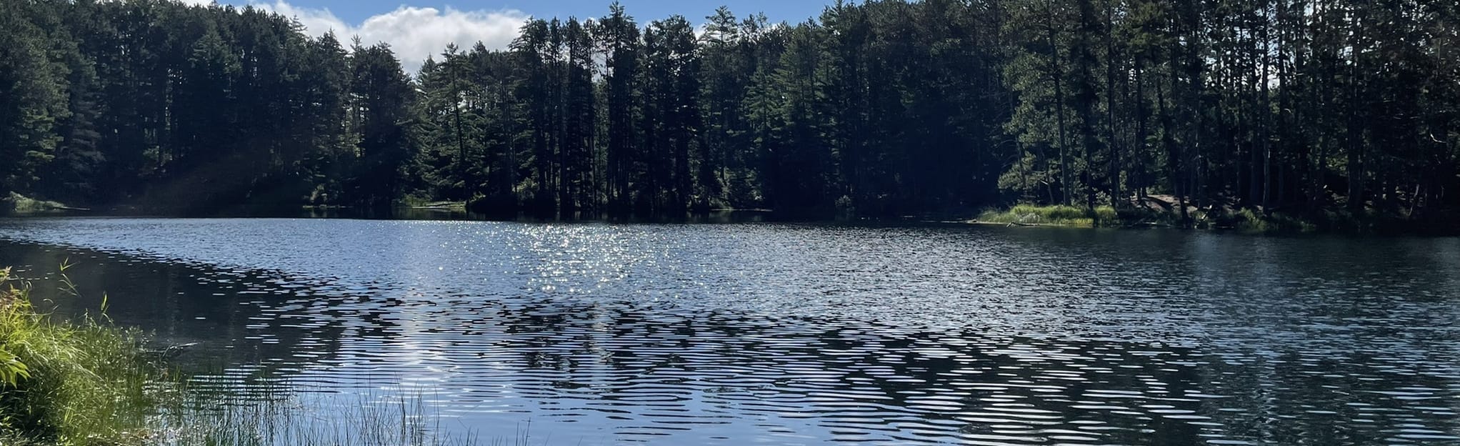 Blueberry Lake Trail Minnesota AllTrails