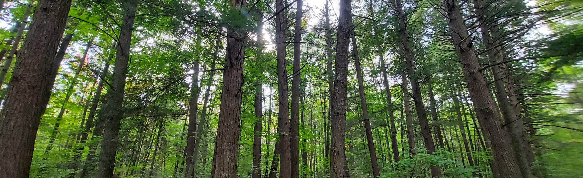 Sentier SaintAmbroisedeKildaire, Quebec, Canada 76 Reviews, Map