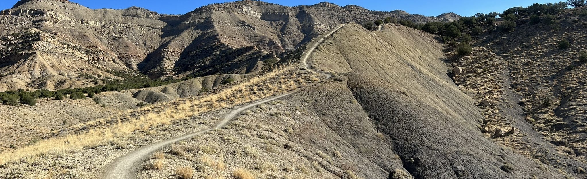Joe S Ridge 20 Reviews Map Colorado Alltrails