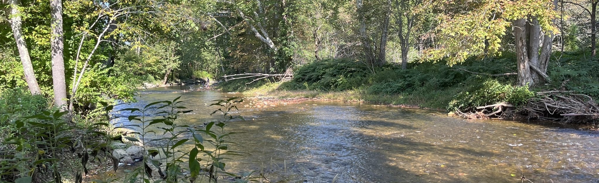 Valle Crucis Park Loop 122 Reviews, Map North Carolina AllTrails