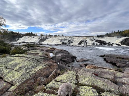 Photos of Port Cartier Quebec bird watching trails AllTrails