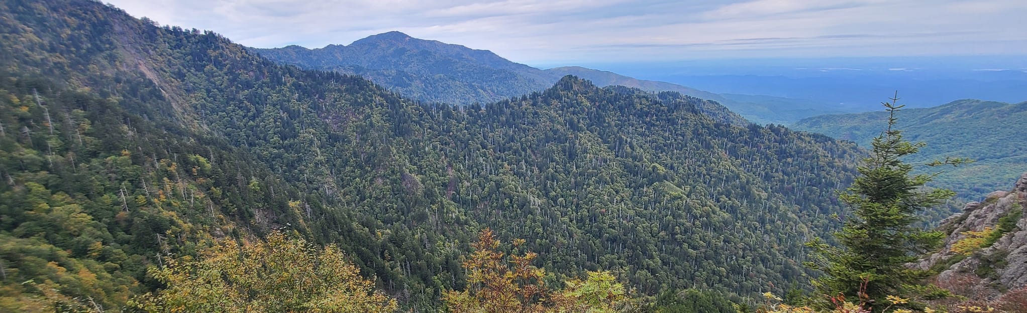 Newfound Gap and Low Gap 12 Reviews, Map North Carolina AllTrails