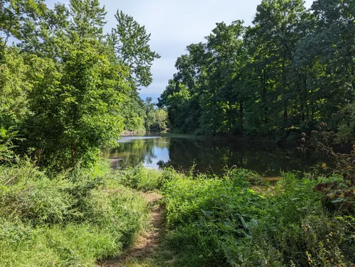 Best Hikes and Trails in Tyler -