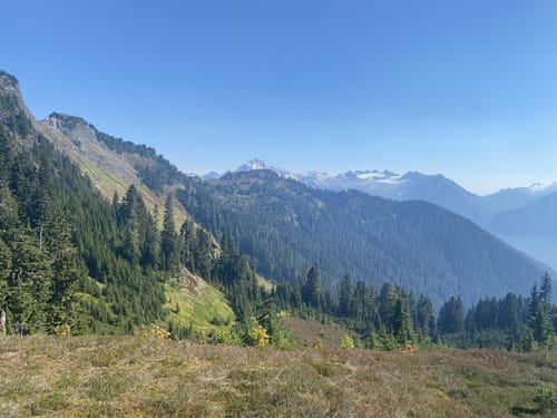 are dogs allowed in mt baker wilderness