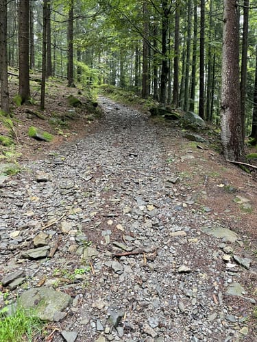 MTB-Schleife: Ruselabsatz - Geißkopf