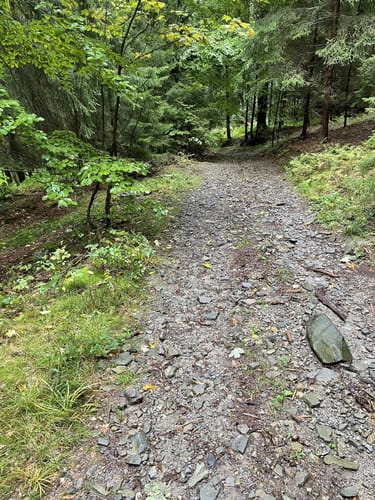 MTB-Schleife: Ruselabsatz - Geißkopf