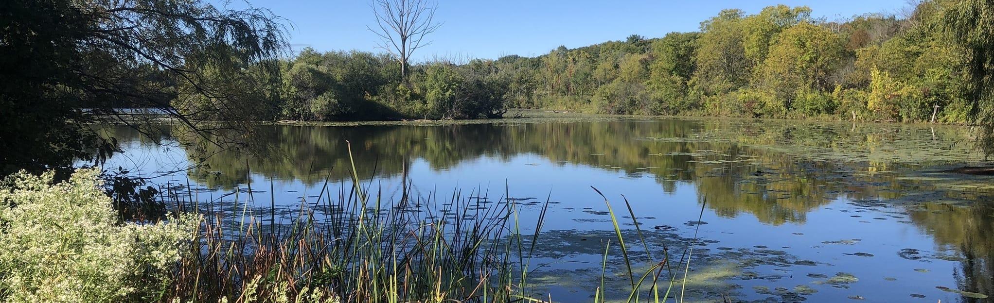 Wehr Nature Center Trail, Wisconsin 438 Reviews, Map AllTrails