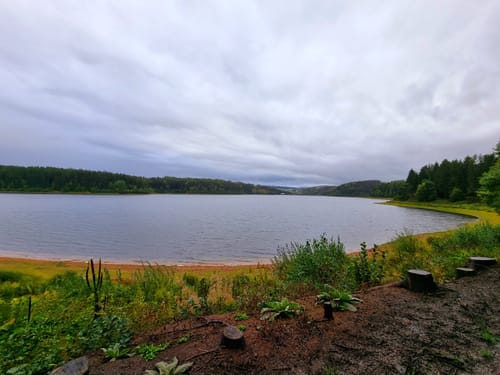 Rund um die Saidenbachtalsperre