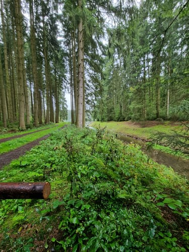 Rund um die Saidenbachtalsperre