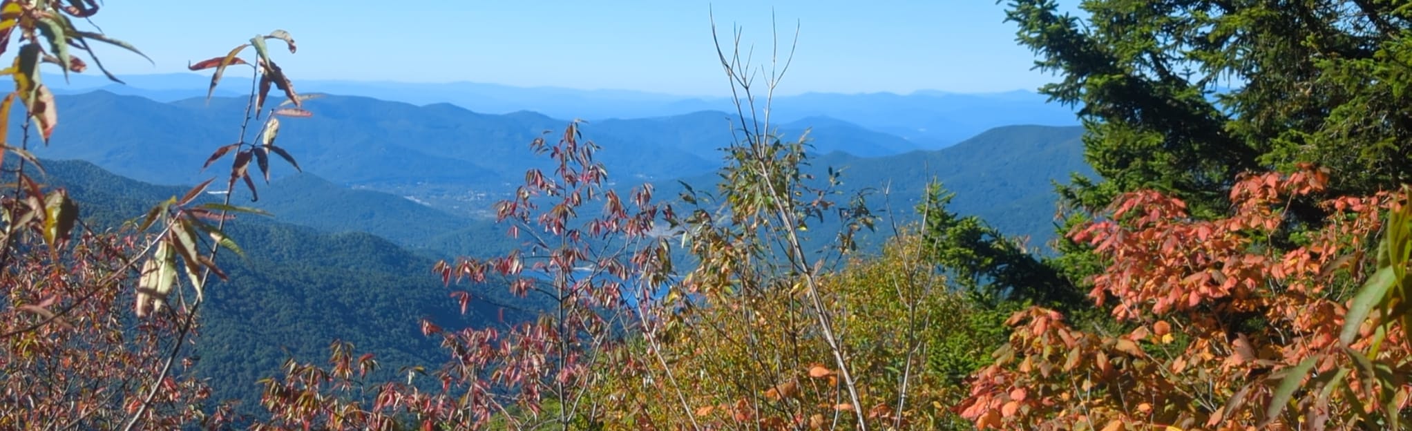 Mountains to Sea Trail via Walker Knob Overlook, North Carolina 184