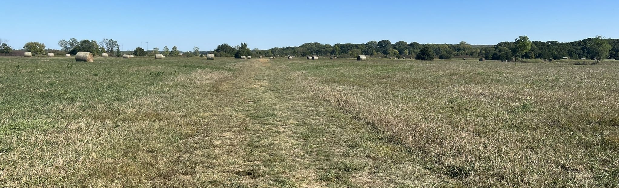 Mutt Run OffLeash Dog Park Trail 8 foto's Kansas AllTrails