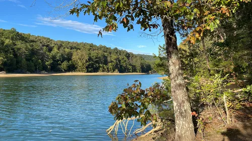 Panther Creek State Park Camping — Tennessee State Parks