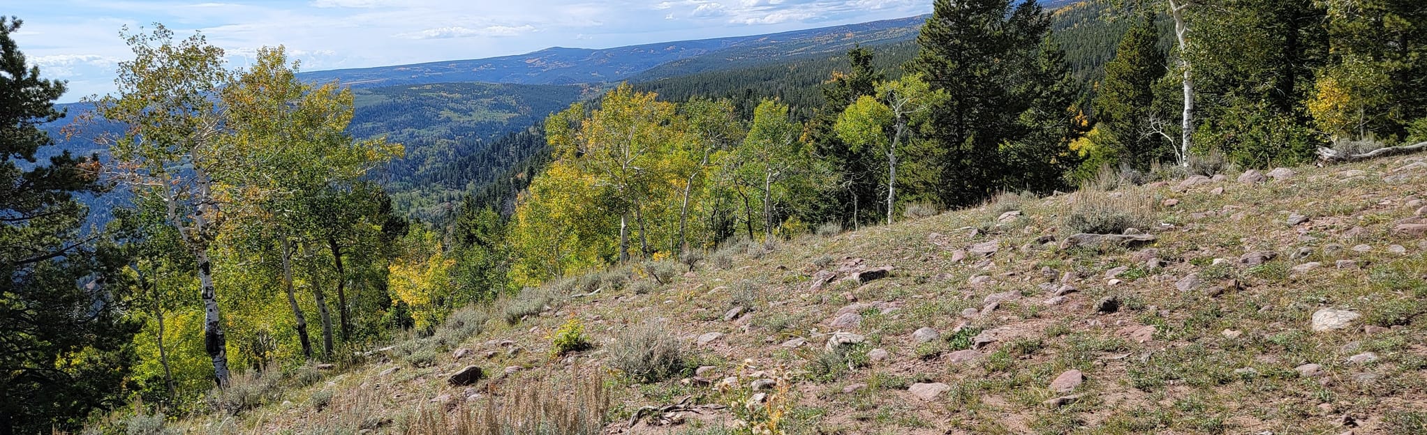 Red Cloud Loop Road Utah AllTrails