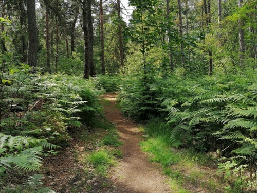 Rund um Blankenburg
