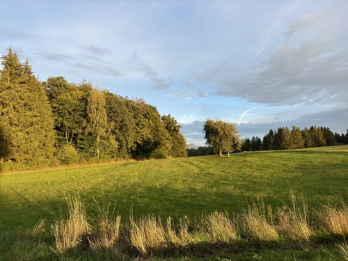 Haunesee - Almendorf - Roßkuppe