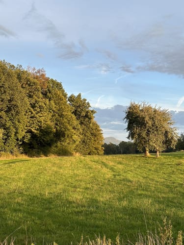 Haunesee - Almendorf - Roßkuppe