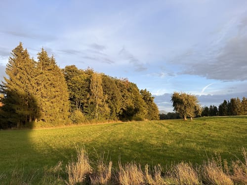 Haunesee - Almendorf - Roßkuppe