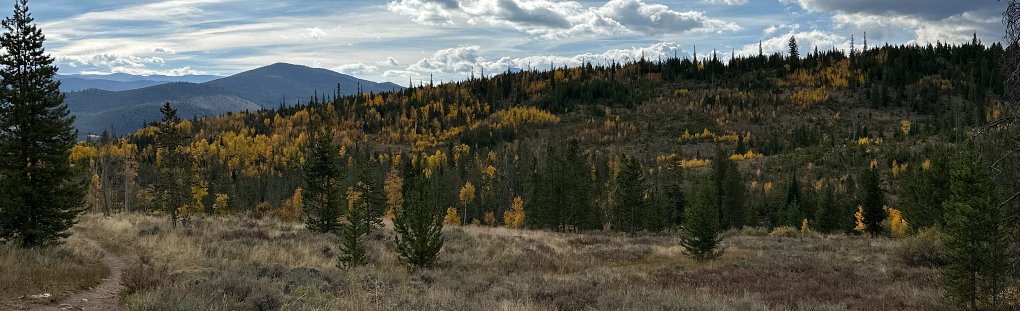 Walden Trail 556 Reviews, Map Colorado AllTrails