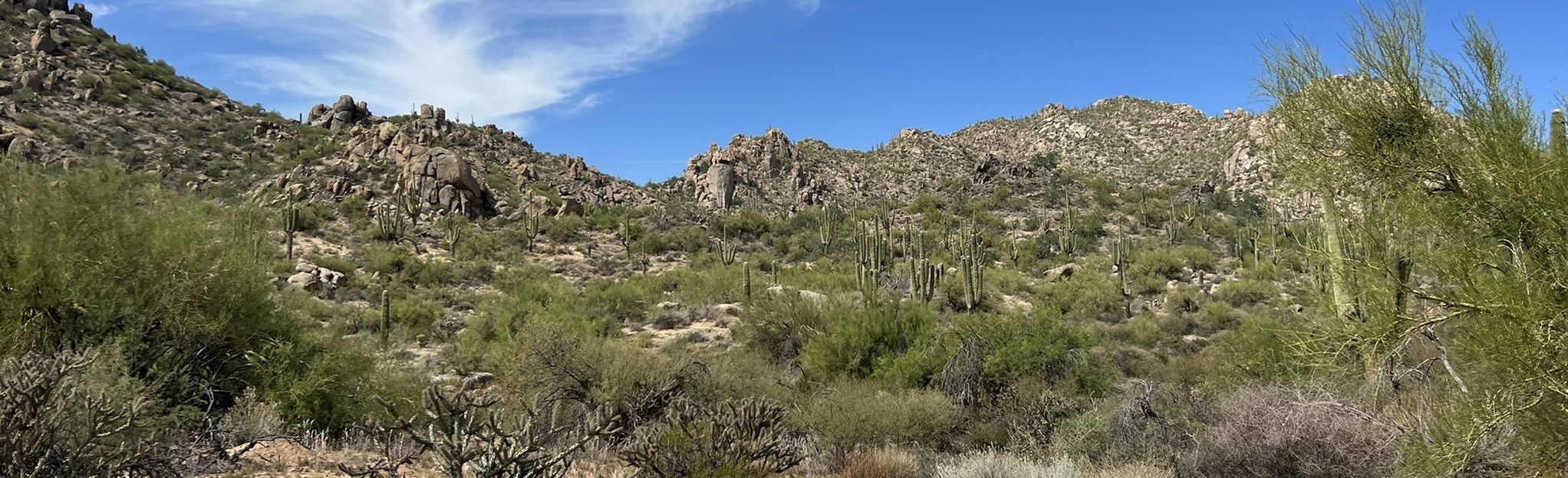 Granite Mountain Loop: 2693 Reviews, Map - Arizona | AllTrails