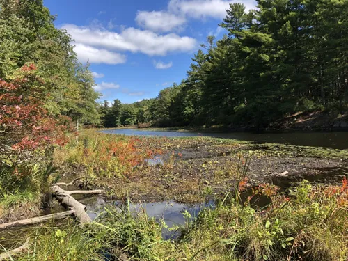 10 Best Hikes and Trails in Appalachian National Scenic Trail | AllTrails