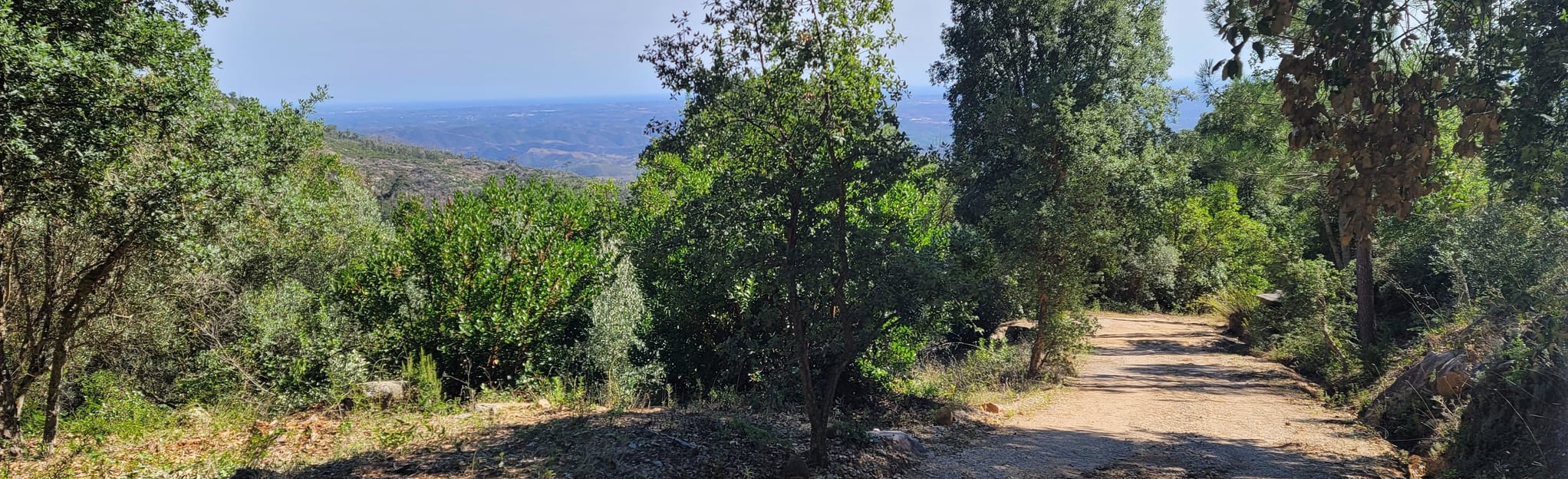 Percurso pela serra e termas de Monchique 5 Reviews, Map Faro