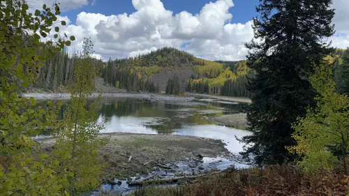 10 Best Hikes and Trails in Grand Mesa National Forest | AllTrails