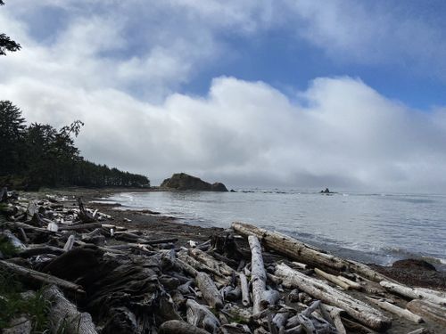 Best Hikes and Trails in Ozette Indian Reservation | AllTrails