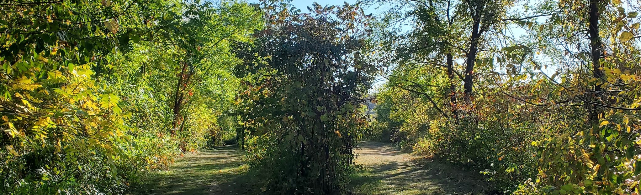 Red Jacket Valley Trail, Minnesota 58 Reviews, Map AllTrails