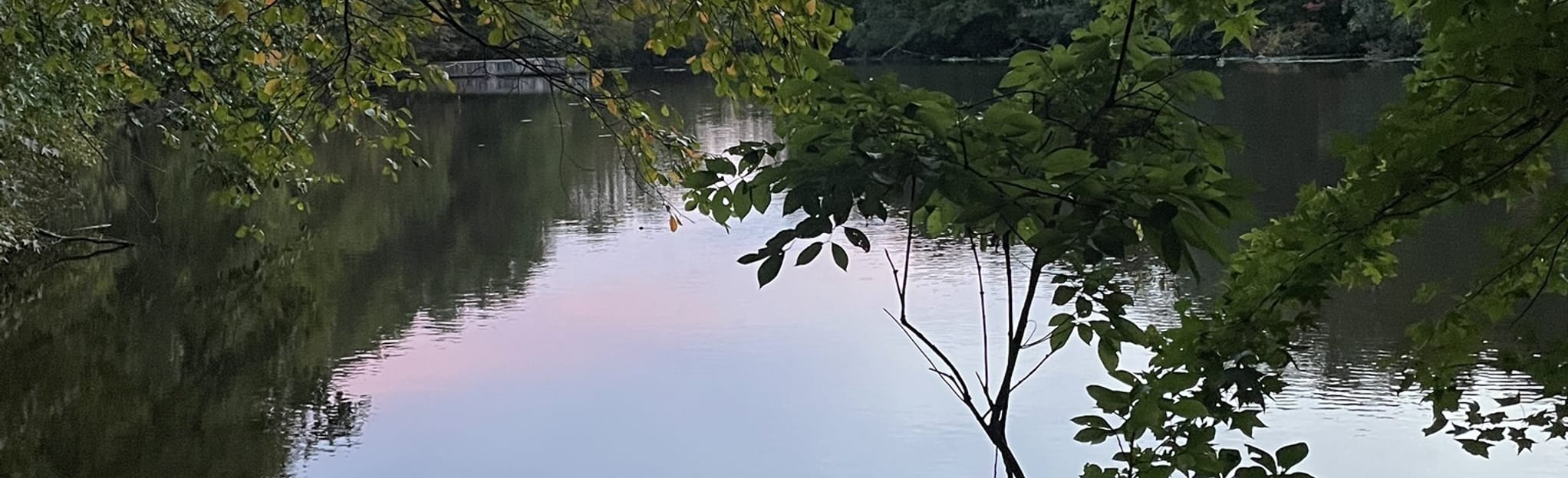 Tenafly Nature Center Loop 78 Reviews, Map New Jersey AllTrails