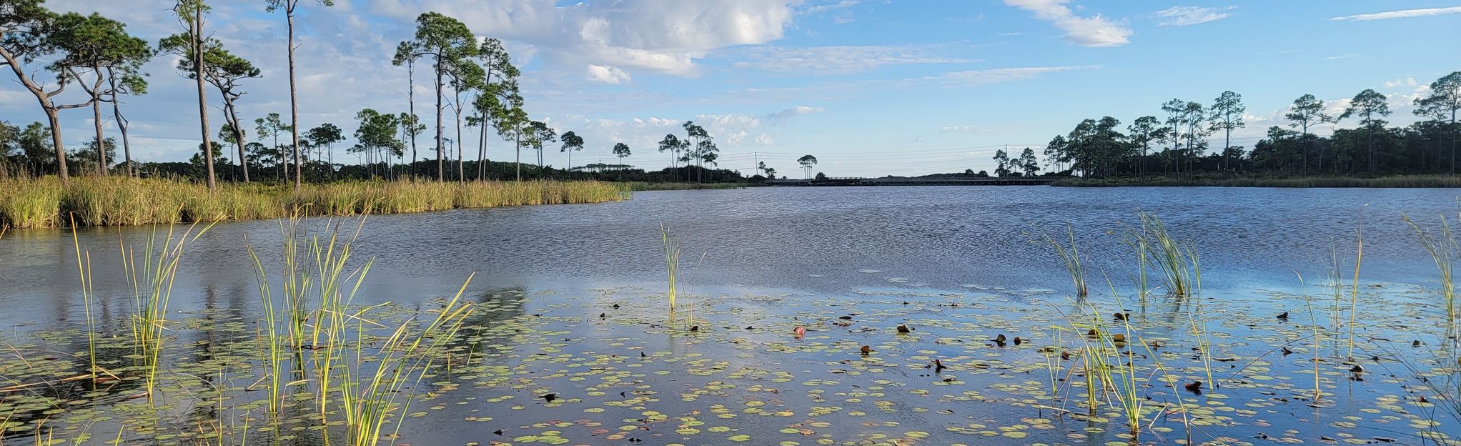 Western Lake Trail: 472 Reviews, Map - Florida 