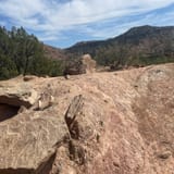 Pioneer Nature Trail, Texas - 143 Reviews, Map | AllTrails